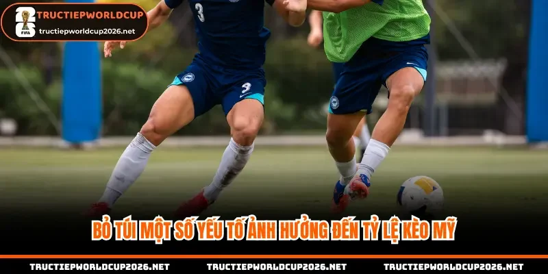 Bỏ túi một số yếu tố ảnh hưởng đến tỷ lệ kèo Mỹ