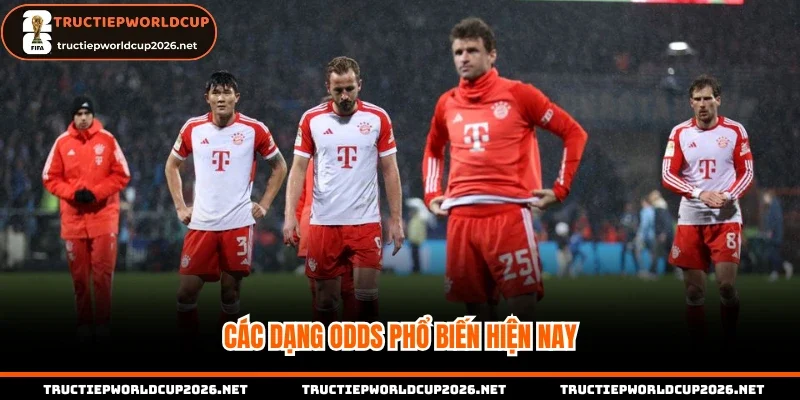 Các dạng Odds phổ biến hiện nay