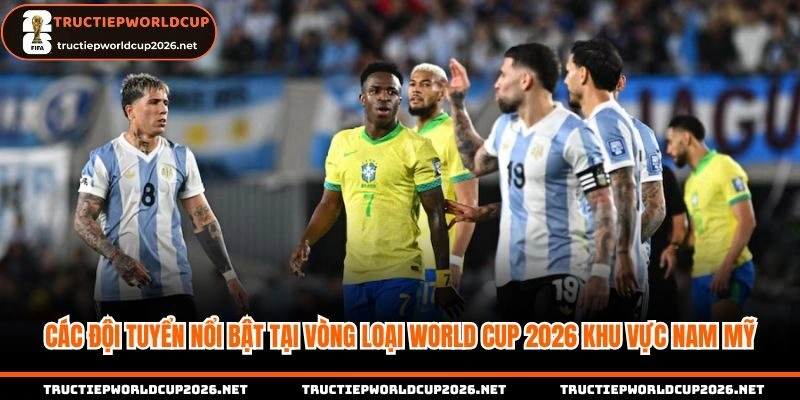 Các đội tuyển nổi bật tại vòng loại Nam Mỹ