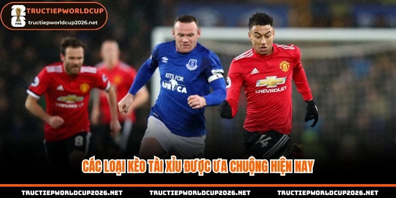 Các loại kèo tài xỉu được ưa chuộng