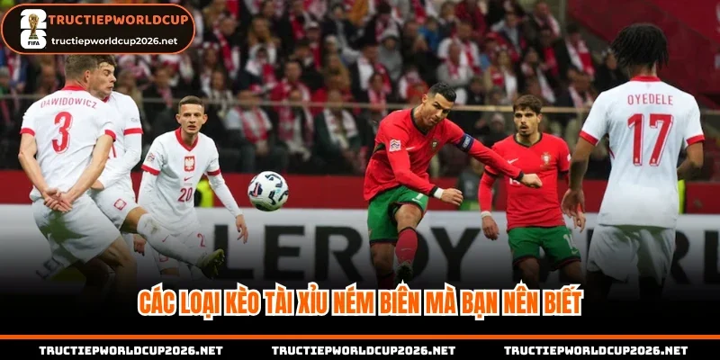 Các loại kèo tài xỉu ném biên mà bạn nên biết