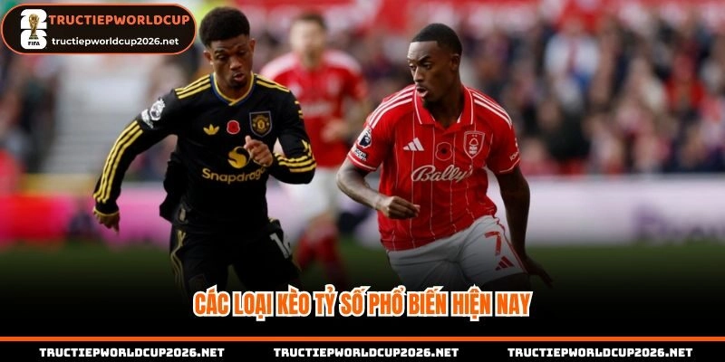 Các loại kèo tỷ số phổ biến hiện nay