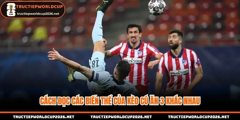 Cách đọc các biến thể của kèo cú ăn 3 khác nhau