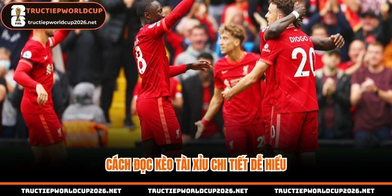 Cách đọc kèo tài xỉu chi tiết cho hội viên