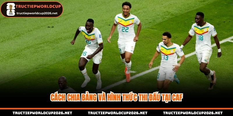 Cách chia bảng đấu cực công bằng cho các đội