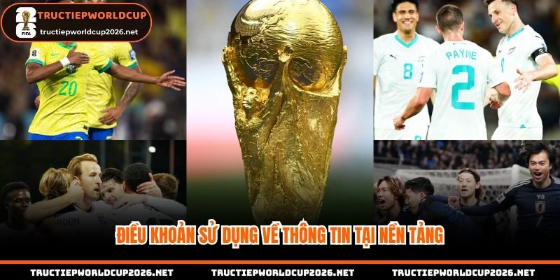 Điều khoản sử dụng về thông tin tại nền tảng