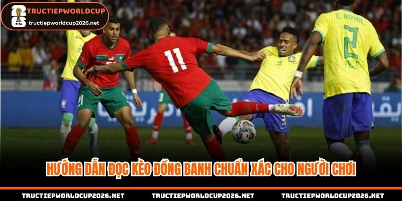 Đọc và nhận diện kèo đồng banh - chấp 0 trái dễ dàng