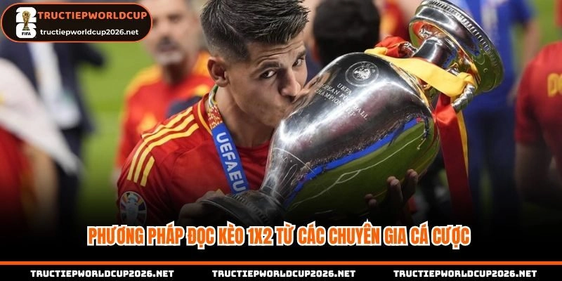 Bí kíp sử dụng kèo 1X2 cho người chơi