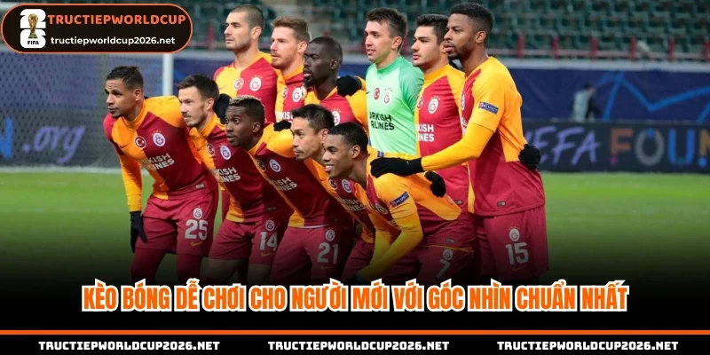 Kèo bóng dễ chơi cho người mới với góc nhìn chuẩn nhất