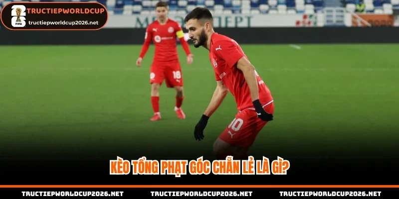 Thời điểm chọn kèo tổng phạt góc chẵn lẻ