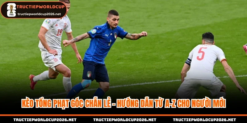 Kèo tổng phạt góc chẵn lẻ