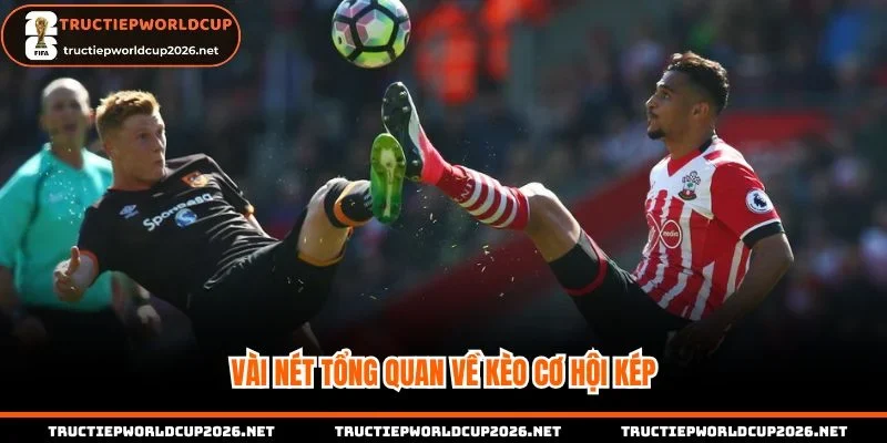 Khám phá vài nét về cơ hội kép 