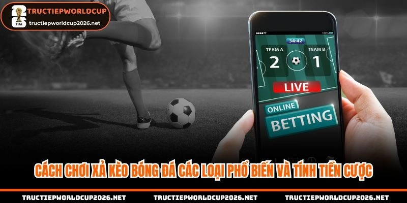 Nắm rõ toàn bộ loại kèo và tính tiền để cược chuẩn xác