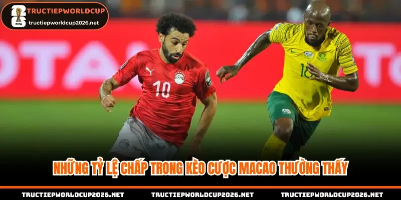 Những tỷ lệ chấp trong kèo cược Macao thường thấy