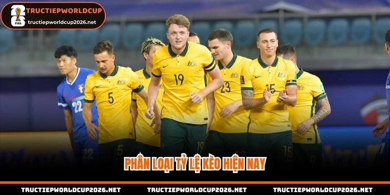 Phân loại tỷ lệ kèo trên thị trường