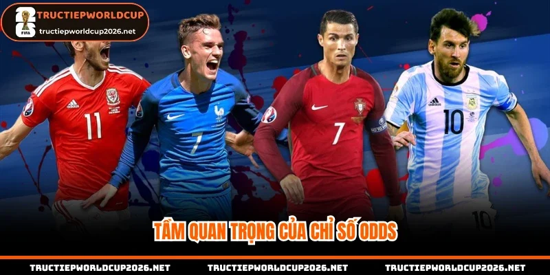 Tầm quan trọng của chỉ số Odds