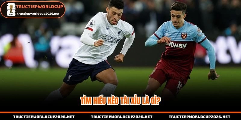 Tìm hiểu kèo tài xỉu