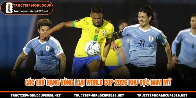 Các thứ hạng trong vòng loại World cup Nam Mỹ 2026