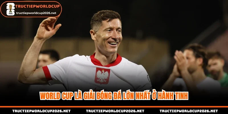 World Cup là giải bóng đá lớn nhất ở hành tinh