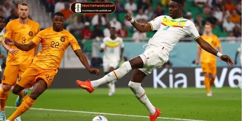 Đội hình ra sân của Na Uy vs Senegal