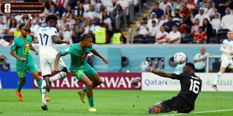 Đội hình ra sân Tunisia vs Nhật Bản