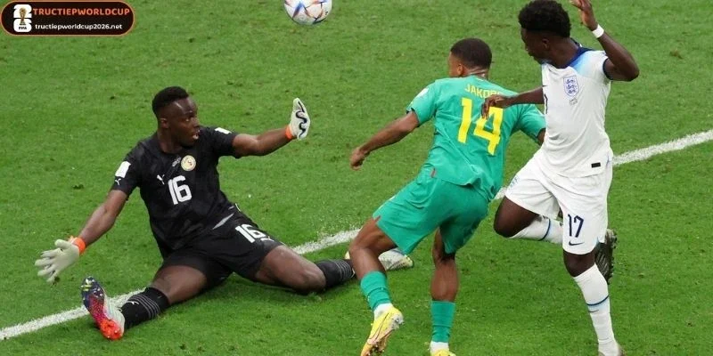 Sơ đồ chiến thuật dự kiến của Anh vs Ghana