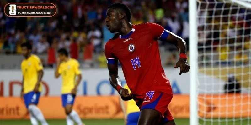 Sơ đồ thi đấu dự kiến của Brazil vs Haiti