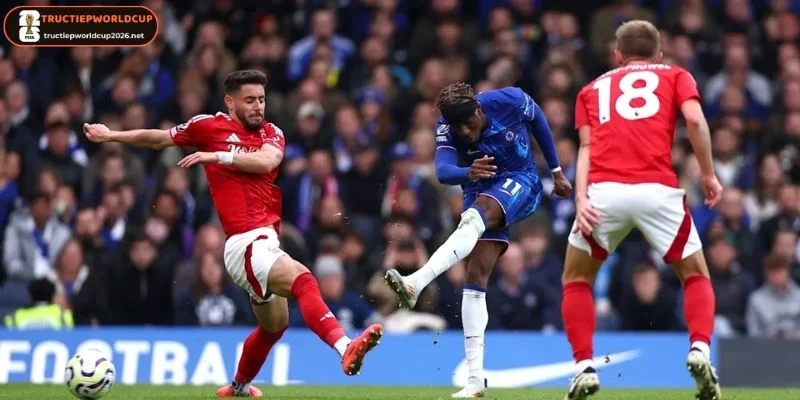 Bảng kèo trận CH Séc vs Nam Phi