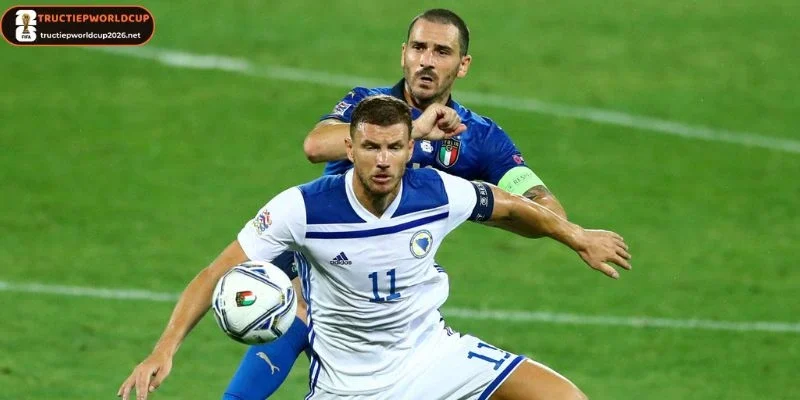 Dự đoán đội hình trong trận Bosnia and Herzegovina