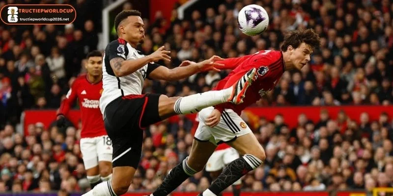 Sơ đồ ra sân của CH Séc vs Mexico