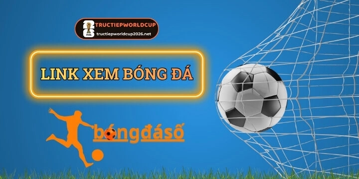 Bongdaso - Trang web soi kèo chất lượng hàng đầu 2026