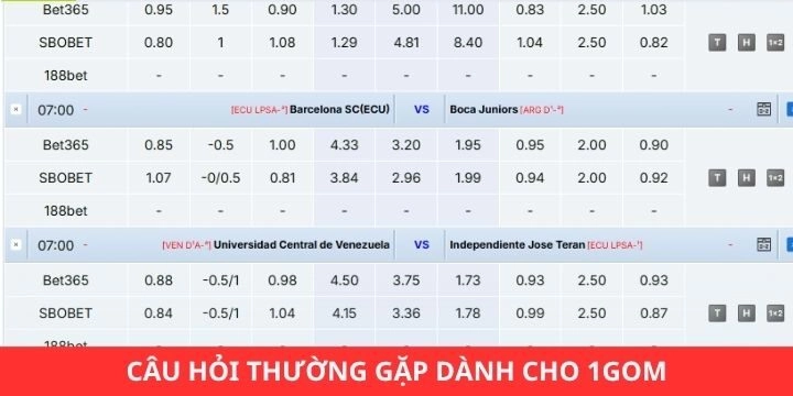 FAQs - Tham khảo câu hỏi liên quan đến website thể thao 1gom