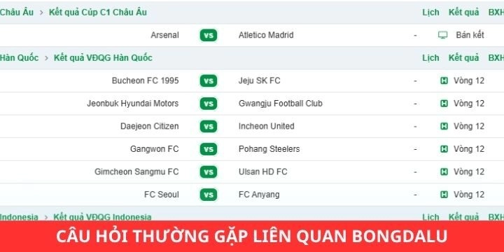 FAQ - Câu hỏi thường gặp về trang web bóng đá Bongdalu