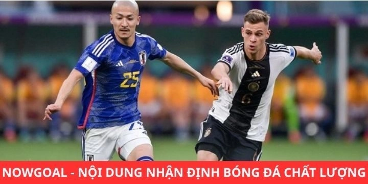 Nowgoal đưa ra nhận định chính xác và liên tục cho người mới