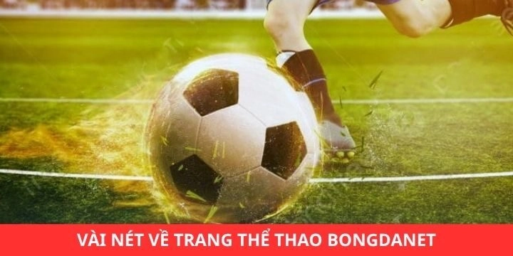 Bongdanet mang đến trải nghiệm tốt nhất cho người dùng